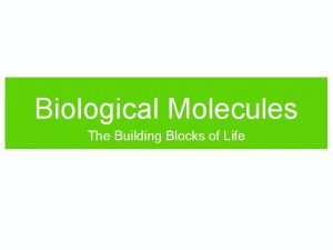 Biological molecules what are the building blocks of life