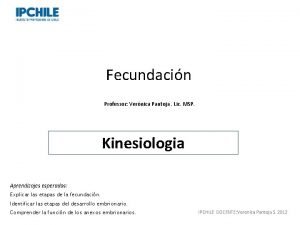 Fecundacin Professor Vernica Pantoja Lic MSP Kinesiologia Aprendizajes