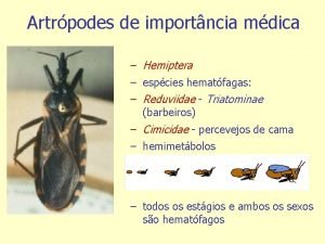Artrpodes de importncia mdica Hemiptera espcies hematfagas Reduviidae