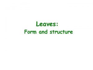 Leaves function plant Leaves function plant