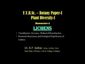 Classification of lichens