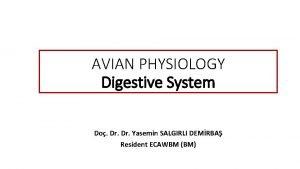 AVIAN PHYSIOLOGY Digestive System Do Dr Yasemin SALGIRLI