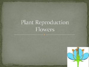 Plant Reproduction Flowers Functions of Flower Parts 1