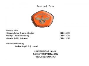 Contoh tumbuhan dikotil Contoh tumbuhan dikotil