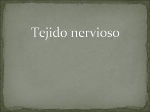 Tejido nervioso