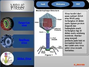 VIRUS Pengertian virus Replikasi virus Siklus Virus back