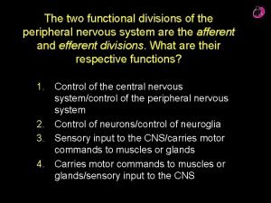 The two functional divisions of the peripheral nervous