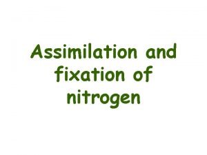 Nitrogen assimilation in plants