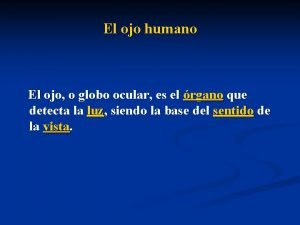 El ojo humano El ojo o globo ocular