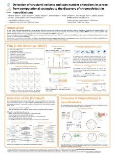 Detection of structural variants and copy number alterations