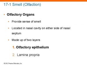 17 1 Smell Olfaction Olfactory Organs Provide sense