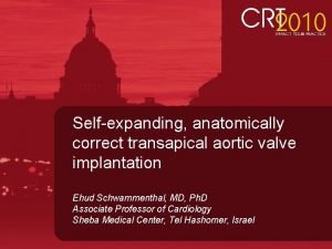 Selfexpanding anatomically correct transapical aortic valve implantation Ehud