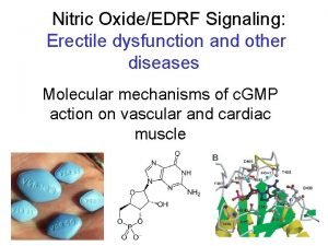 Nitric OxideEDRF Signaling Erectile dysfunction and other diseases