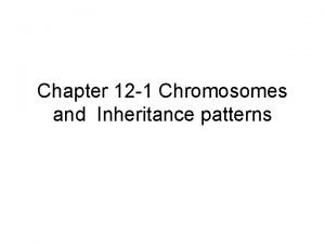 Section 12-1 chromosomes and inheritance