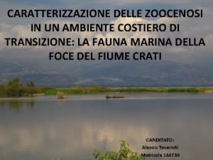 CARATTERIZZAZIONE DELLE ZOOCENOSI IN UN AMBIENTE COSTIERO DI