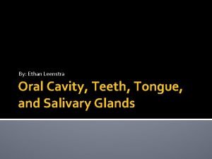 By Ethan Leenstra Oral Cavity Teeth Tongue and