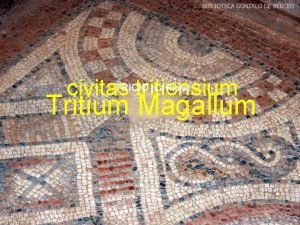 Tritium magallum