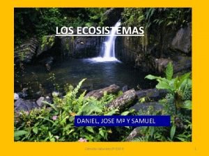 LOS ECOSISTEMAS DANIEL JOSE M Y SAMUEL Ciencias
