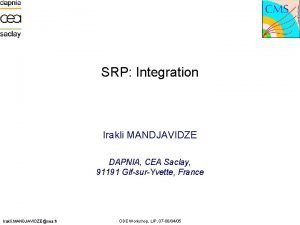 SRP Integration Irakli MANDJAVIDZE DAPNIA CEA Saclay 91191