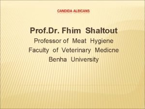 Prof Dr Fhim Shaltout Professor of Meat Hygiene