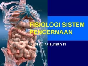 FISIOLOGI SISTEM PENCERNAAN R Bayu Kusumah N Fungsi