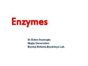 Enzymes Dr zlem mamolu Mula niversitesi Biyoloji Blm