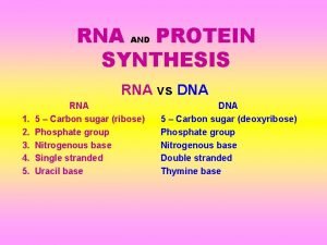 RNA AND PROTEIN SYNTHESIS RNA vs DNA 1