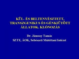 KL S BELTENYSZTETT TRANSZGENIKUS S GNKITTT LLATOK KLNOZS