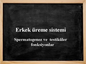 Erkek reme sistemi Spermatogenez ve testikler fonksiyonlar 1