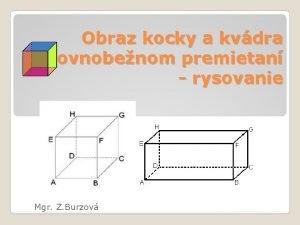 Obraz kocky