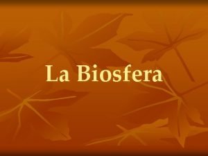 La Biosfera Biosfera Biosfera Es el conjunto formado