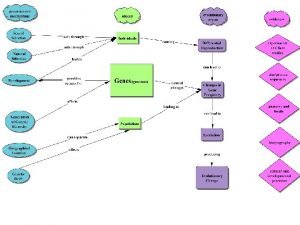 mutagen action Mutations Independent Assortment Gametes A B