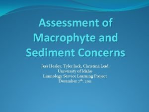 Assessment of Macrophyte and Sediment Concerns Jess Hesley