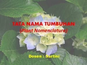 TATA NAMA TUMBUHAN Plant Nomenclature Dosen Sartini TATA