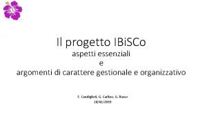 Il progetto IBi SCo aspetti essenziali e argomenti