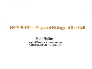 Physical biology of the cell
