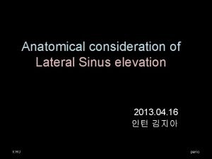 Anatomical consideration of Lateral Sinus elevation 2013 04