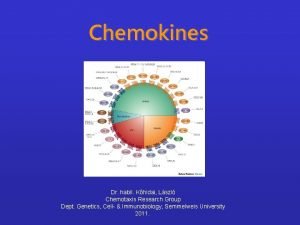 Chemokines Dr habil Khidai Lszl Chemotaxis Research Group