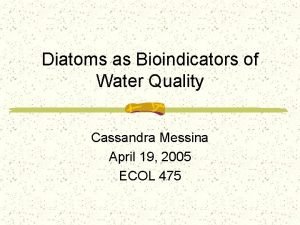 Cassandra messina