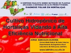 Cultivo Hidropnico de Hortalias Vidando Alta Eficincia Nutricional