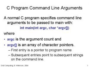 C Program Command Line Arguments A normal C