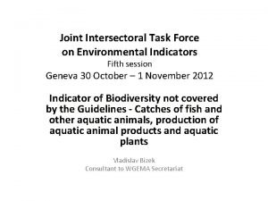 Joint Intersectoral Task Force on Environmental Indicators Fifth