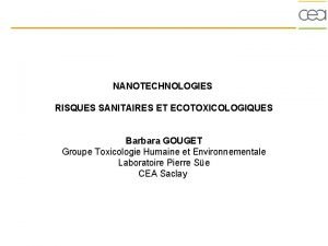 NANOTECHNOLOGIES RISQUES SANITAIRES ET ECOTOXICOLOGIQUES Barbara GOUGET Groupe