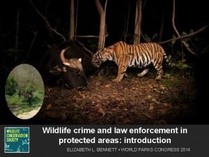 Wildlife crime and law enforcement in protected areas