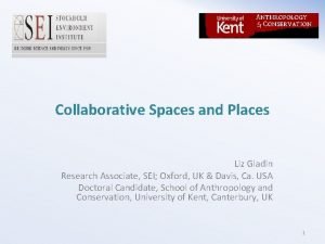 Collaborative Spaces and Places Liz Gladin Research Associate