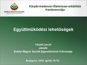 Krptmedencei lelmiszerellltk Konferencija Egyttmkdsi lehetsgek Tiboldi Lszl alelnk