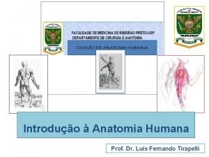 Introduo Anatomia Humana Prof Dr Lus Fernando Tirapelli