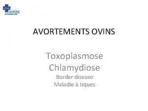 AVORTEMENTS OVINS Toxoplasmose Chlamydiose Border disease Maladie tiques