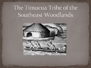 Interesting facts about the timucua tribe