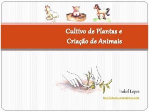 Cultivo de Plantas e Criao de Animais Isabel